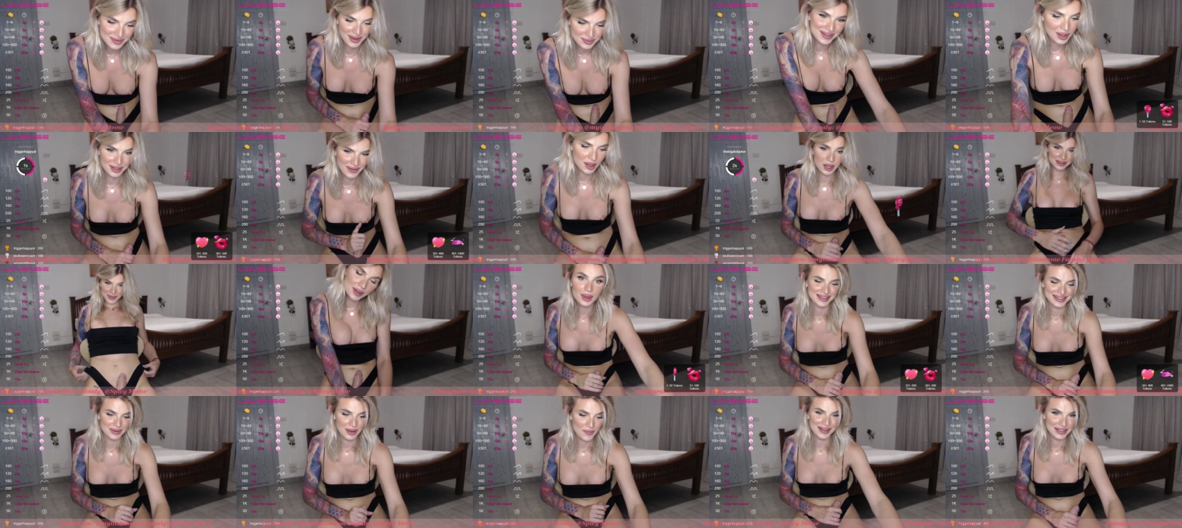 spicy_meow  08-06-2022